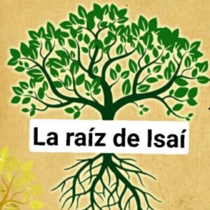 Imagen de perfil